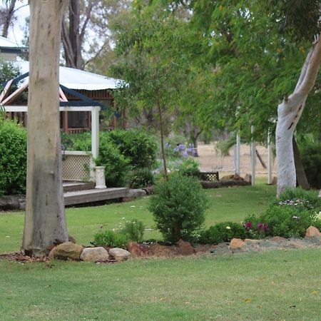 Rosebank Homestead And Farmstay Dalby Eksteriør bilde