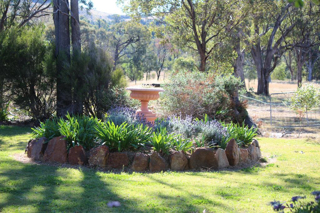 Rosebank Homestead And Farmstay Dalby Eksteriør bilde