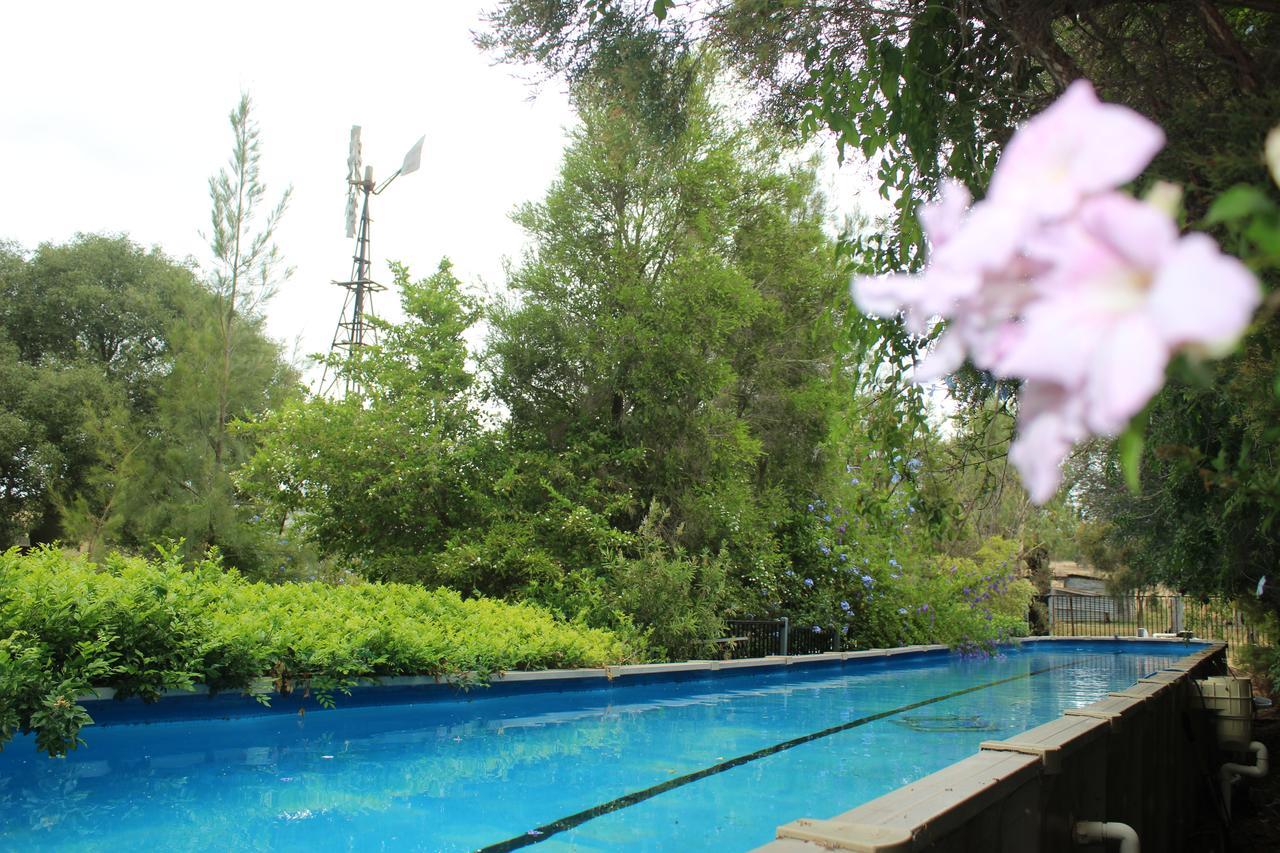 Rosebank Homestead And Farmstay Dalby Eksteriør bilde